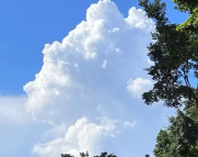 丹棱天气预报,丹棱7天天气预报,丹棱15天天气预报,丹棱天气查询